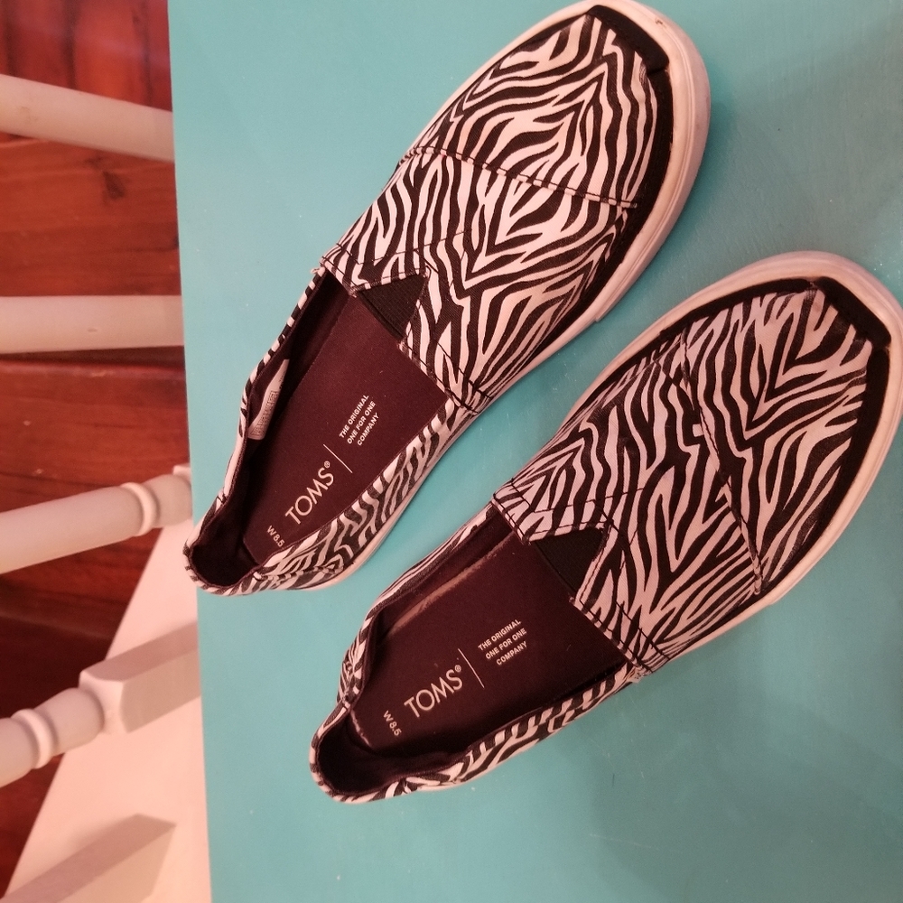 Zebra Tom's 🦓